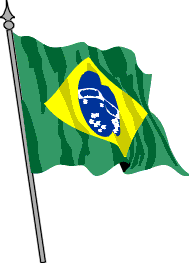 BRASIL TRM.gif (5669 bytes)